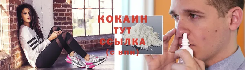 Cocaine Fish Scale  Каменск-Уральский 